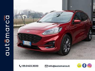 Ford Kuga 1.5 EcoBoost 150cv   2WD ST-Line X Rosso usata Silea