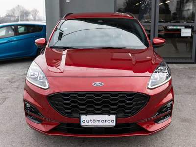Ford Kuga 1.5 EcoBoost 150cv   2WD ST-Line X Rosso usata Silea