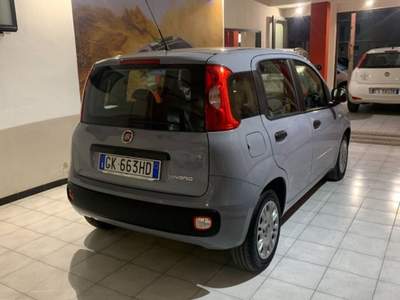 Fiat Panda 1.0 firefly hybrid s&s 70cv 5p.ti usata Sassari