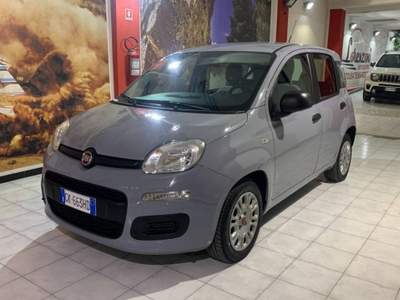 Fiat Panda 1.0 firefly hybrid s&s 70cv 5p.ti usata Sassari