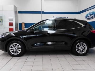 Ford Kuga 1.5 EcoBlue 120 CV 2WD Titanium Business Nero usata Silea