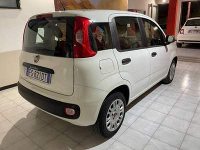Fiat Panda 1.3 mjt 16v Easy s&s 95cv KM22546 Bianco usata Sassari