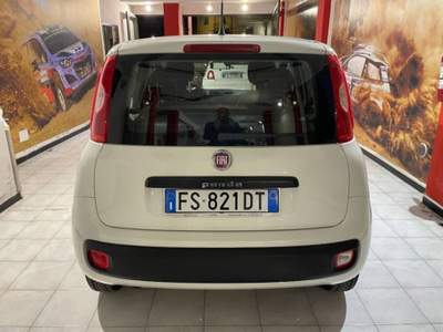 Fiat Panda 1.3 mjt 16v Easy s&s 95cv KM22546 Bianco usata Sassari