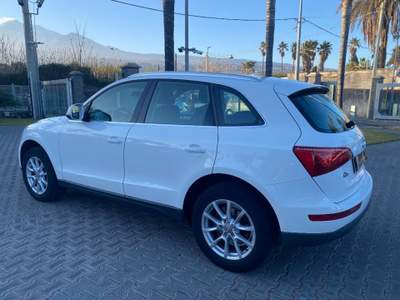 Audi Q5 2.0 TDI 170CV quattro Advanced Plus Bianco usata Giarre