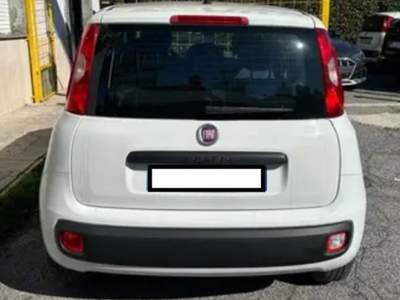 Fiat Panda 1.3 MJT 95 CV S&S Easy Bianco usata Cassino