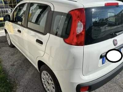 Fiat Panda 1.3 MJT 95 CV S&S Easy Bianco usata Cassino