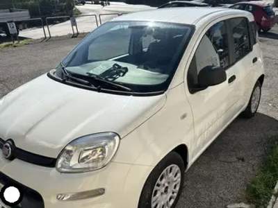 Fiat Panda 1.3 MJT 95 CV S&S Easy Bianco usata Cassino