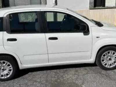 Fiat Panda 1.3 MJT 95 CV S&S Easy Bianco usata Cassino