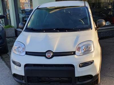 Fiat Panda 1.0 S&S Hybrid Grigio usata Crescentino