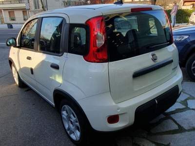 Fiat Panda 1.0 S&S Hybrid Grigio usata Crescentino