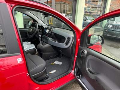 Fiat Panda 1.0 S&S Hybrid CROSS Lilla usata Crescentino