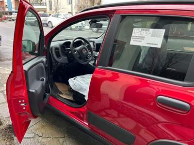 Fiat Panda 1.0 S&S Hybrid CROSS Lilla usata Crescentino
