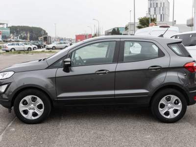 Ford EcoSport 1.5 Ecoblue 95 CV Start&Stop Plus Grigio usata Silea