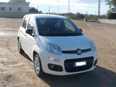 Fiat Panda 1.2 Pop Bianco usata TAVIANO