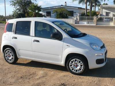 Fiat Panda 1.2 Pop Bianco usata TAVIANO