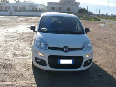 Fiat Panda 1.2 Pop Bianco usata TAVIANO