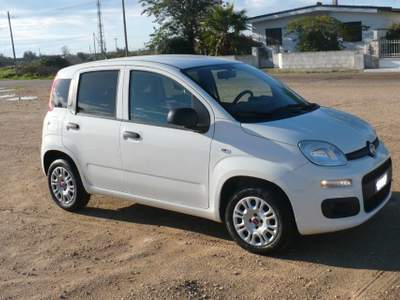 Fiat Panda 1.2 Pop Bianco usata TAVIANO