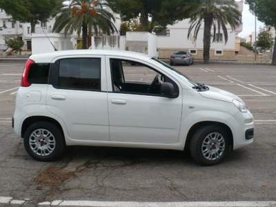 Fiat Panda 1.2 POP Grigio usata TAVIANO