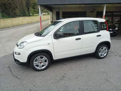 Fiat Panda 1.0 Hybrid - KM.ZERO - NO OBBLIGO FINANZIARIO Bianco usata Genova