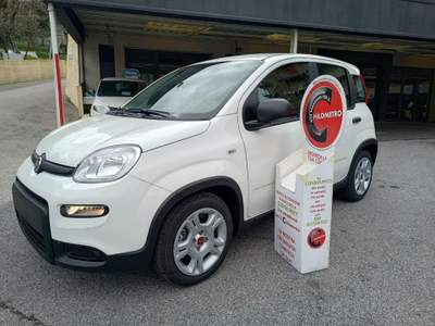 Fiat Panda 1.0 Hybrid - KM.ZERO - NO OBBLIGO FINANZIARIO Bianco usata Genova
