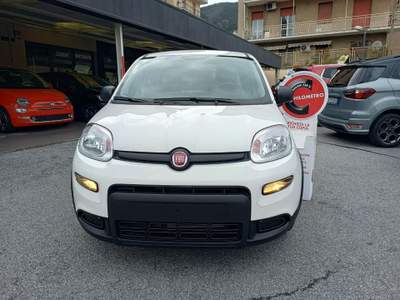 Fiat Panda 1.0 Hybrid - KM.ZERO - NO OBBLIGO FINANZIARIO Bianco usata Genova
