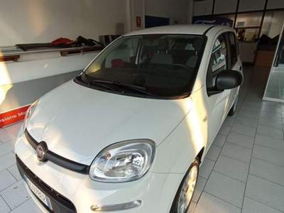 Fiat Panda Panda 1.0 firefly hybrid Sport s Bianco usata Turbigo