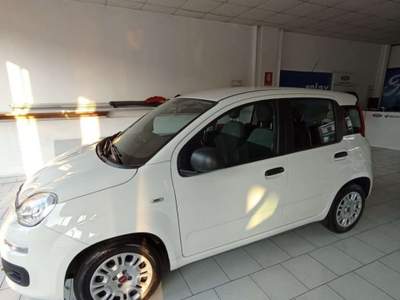 Fiat Panda Panda 1.0 firefly hybrid Sport s Bianco usata Turbigo