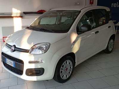 Fiat Panda Panda 1.0 firefly hybrid Sport s Bianco usata Turbigo