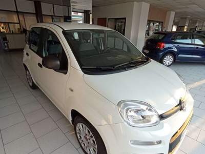 Fiat Panda Panda 1.0 firefly hybrid Sport s Bianco usata Turbigo