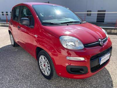 Fiat Panda 1.2 GPL Rosso usata Tolmezzo