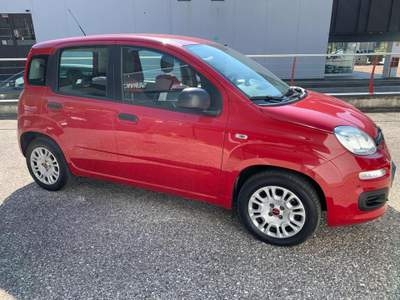 Fiat Panda 1.2 GPL Rosso usata Tolmezzo