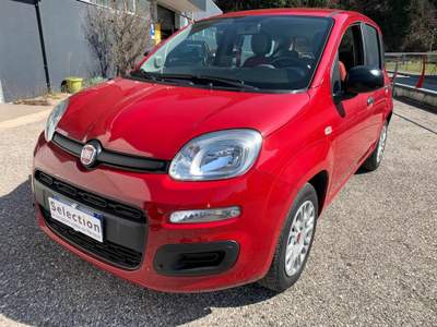 Fiat Panda 1.2 GPL Rosso usata Tolmezzo