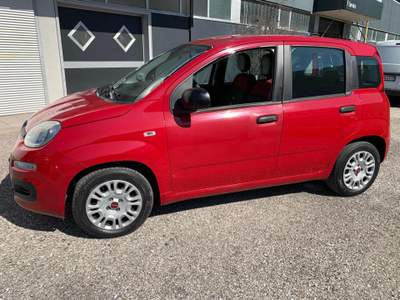 Fiat Panda 1.2 GPL Rosso usata Tolmezzo