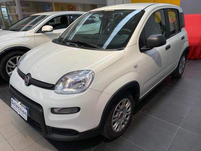 Fiat Panda 1.0 FireFly S&S Hybrid Bianco usata Tolmezzo
