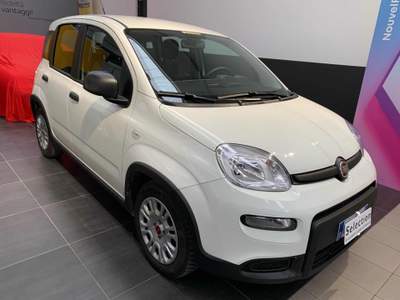 Fiat Panda 1.0 FireFly S&S Hybrid Bianco usata Tolmezzo