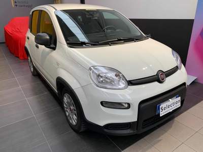 Fiat Panda 1.0 FireFly S&S Hybrid Bianco usata Tolmezzo