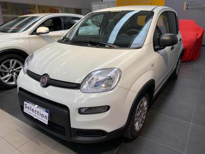 Fiat Panda 1.0 FireFly S&S Hybrid Bianco usata Tolmezzo