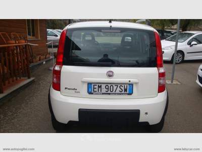 Fiat Panda Panda 1.2 4x4 Climbing Bianco usata Zafferana Etnea