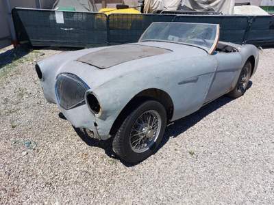 Austin Healey 100/4 BN 1 Bianco usata RONCADE