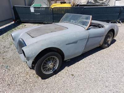 Austin Healey 100/4 BN 1 Bianco usata RONCADE