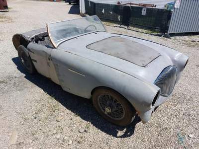 Austin Healey 100/4 BN 1 Bianco usata RONCADE