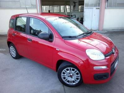 Fiat Panda 1.0 FireFly S&S Hybrid "OK PER NEOPATENTATI" Rosso usata San Pietro di Feletto