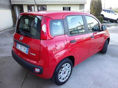 Fiat Panda 1.0 FireFly S&S Hybrid "OK PER NEOPATENTATI" Rosso usata San Pietro di Feletto