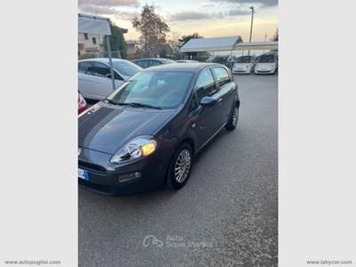 Fiat Punto Punto 1.3 MJT II 75 CV 5p. Street Nero usata Zafferana Etnea
