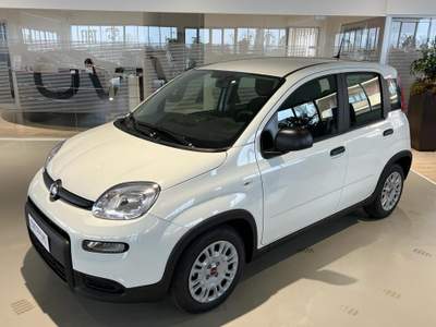 Fiat Panda 1.0 FireFly S&S Hybrid Bianco usata Riva presso Chieri