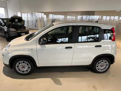 Fiat Panda 1.0 FireFly S&S Hybrid Bianco usata Riva presso Chieri