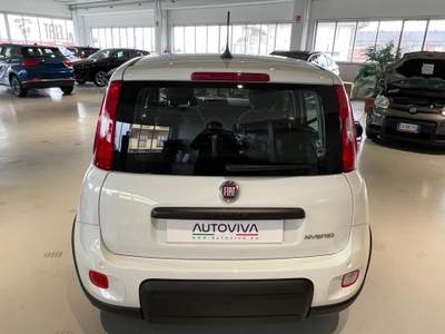 Fiat Panda 1.0 FireFly S&S Hybrid Bianco usata Riva presso Chieri