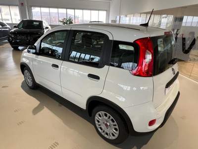 Fiat Panda 1.0 FireFly S&S Hybrid Bianco usata Riva presso Chieri