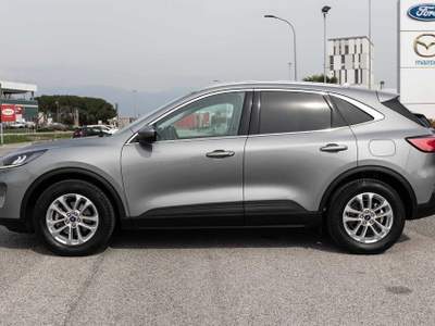 Ford Kuga 1.5 EcoBlue 120 CV 2WD Titanium Business Grigio usata Silea