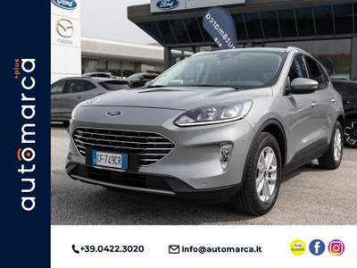 Ford Kuga 1.5 EcoBlue 120 CV 2WD Titanium Business Grigio usata Silea
